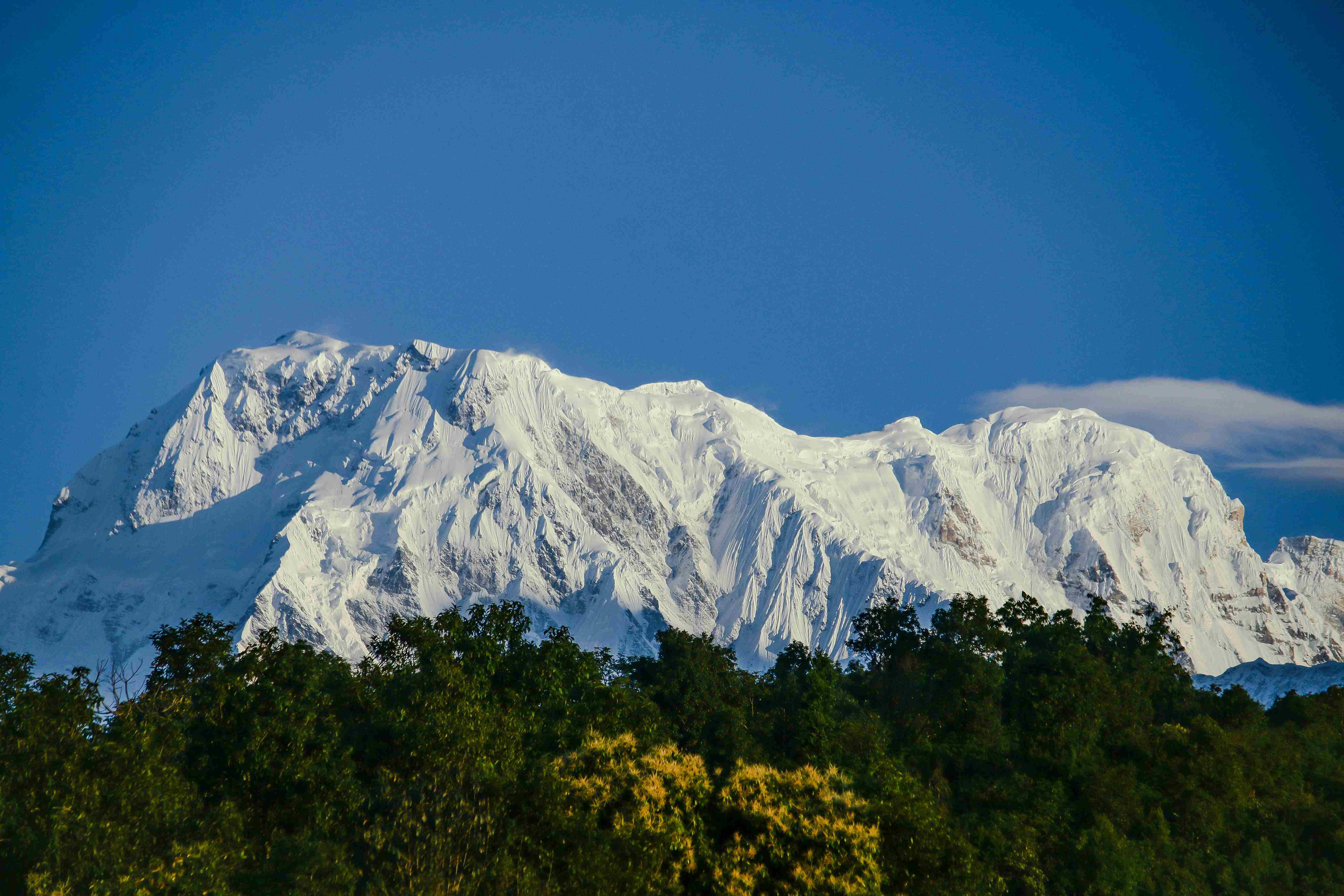 Close-up shot of a majestic snow peak glistening in the sun above lush green treetops in Nepal.