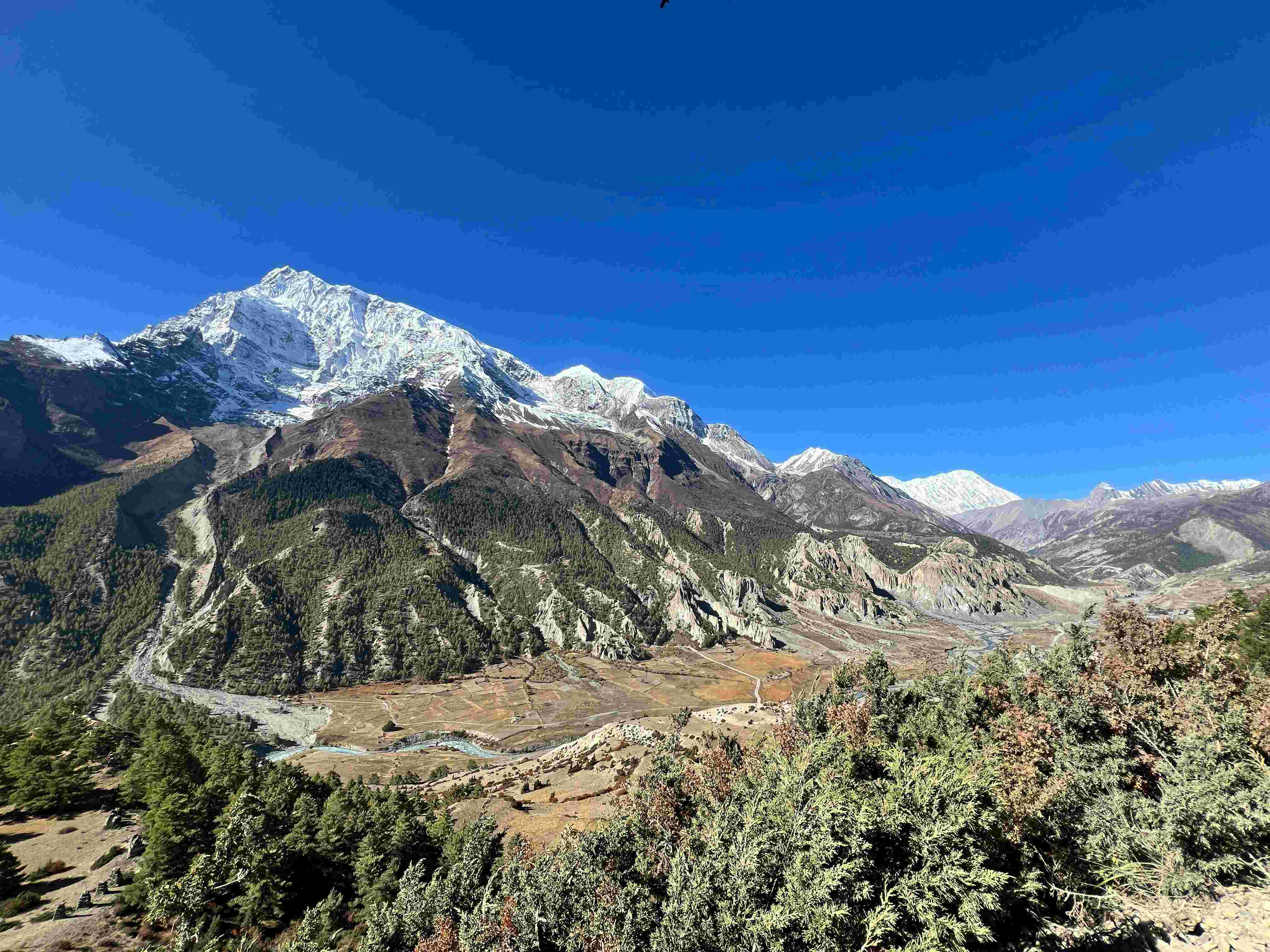 ​"Green pine trees and bushes in the foreground with a majestic snow-capped Himalayan mountain peak under a clear blue sky."