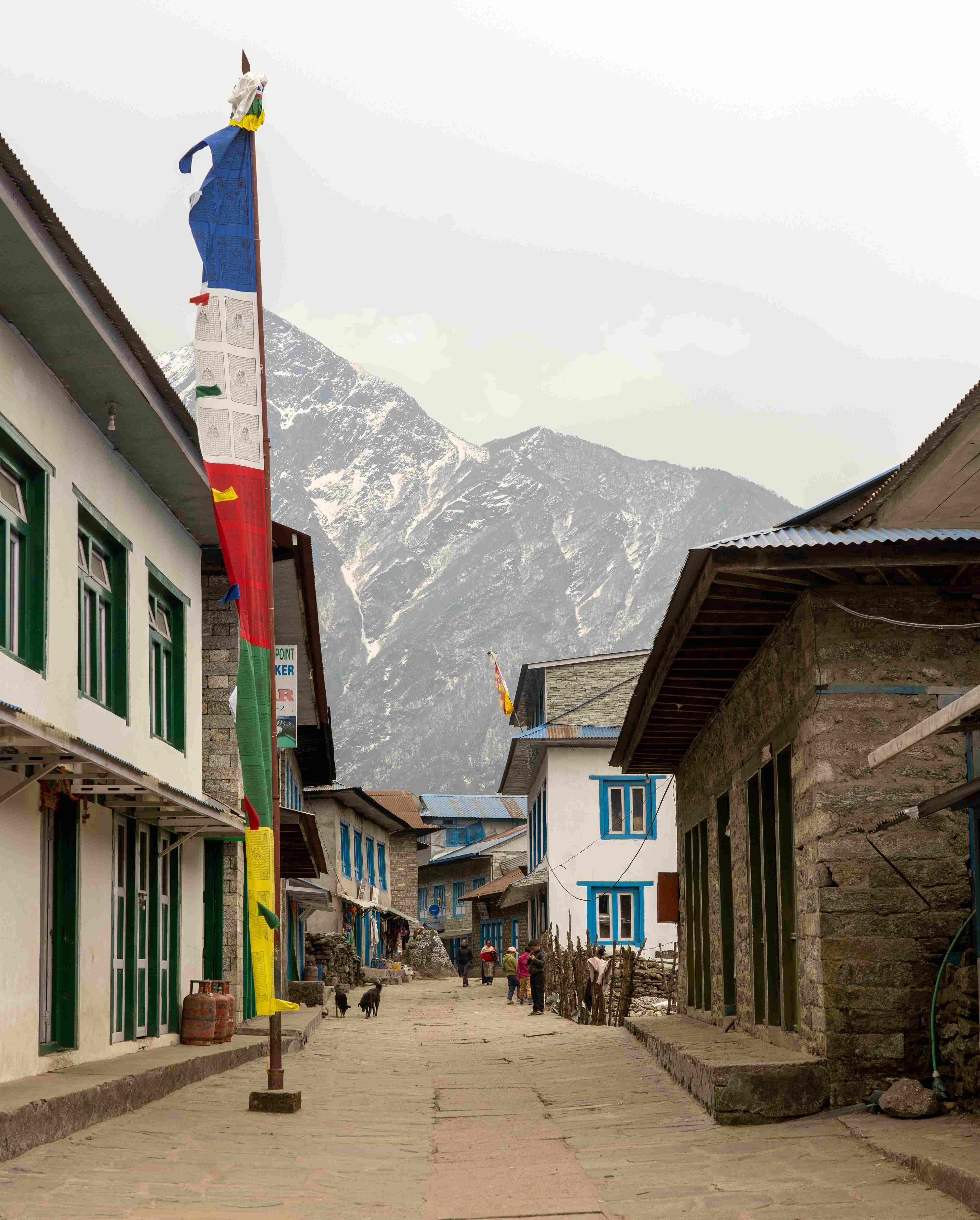 Traditional Himalayan village path with prayer flags in the Everest region.