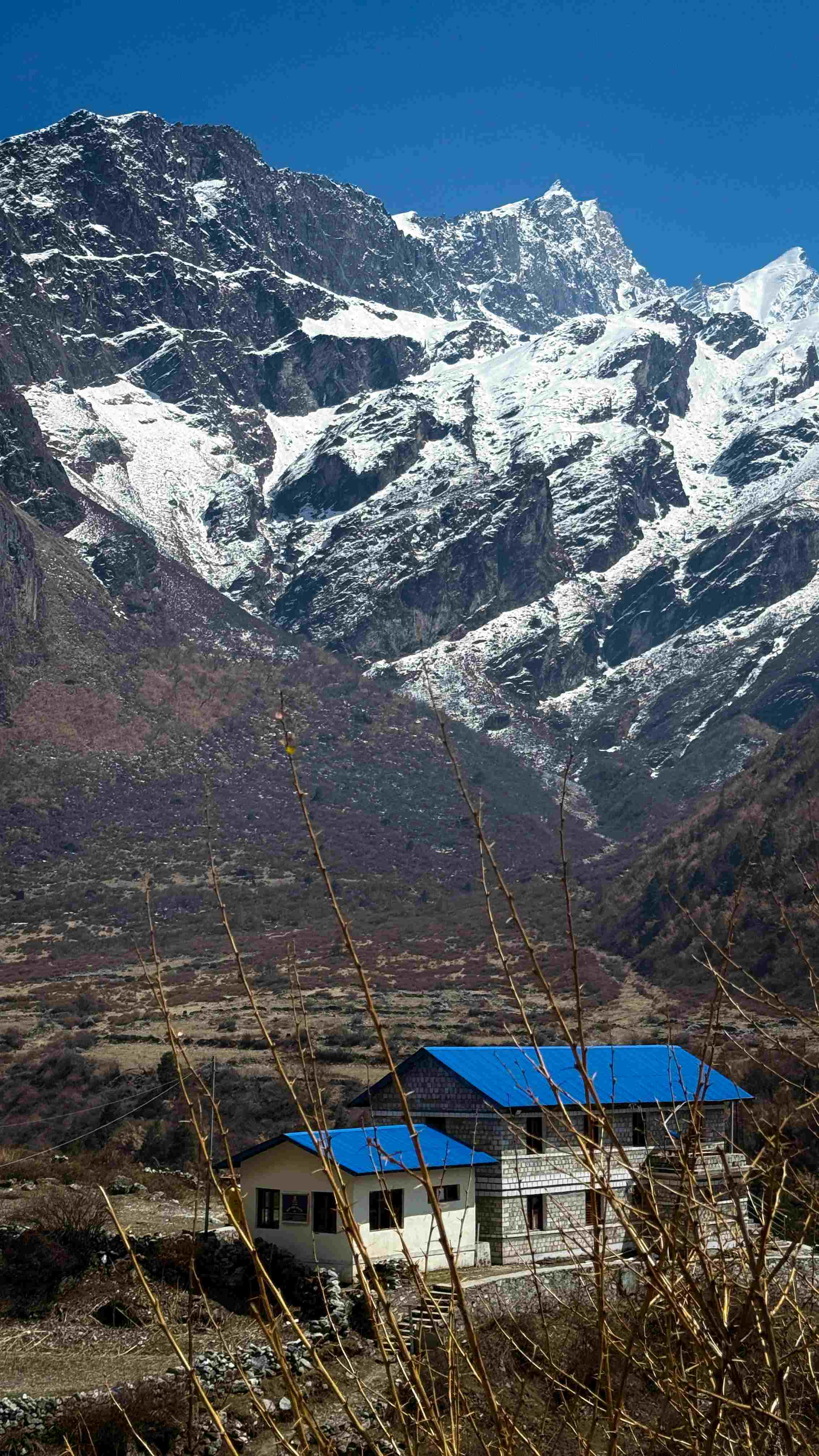 Traditional mountain teahouse with a view of snow-covered peaks in Langtang Valley.