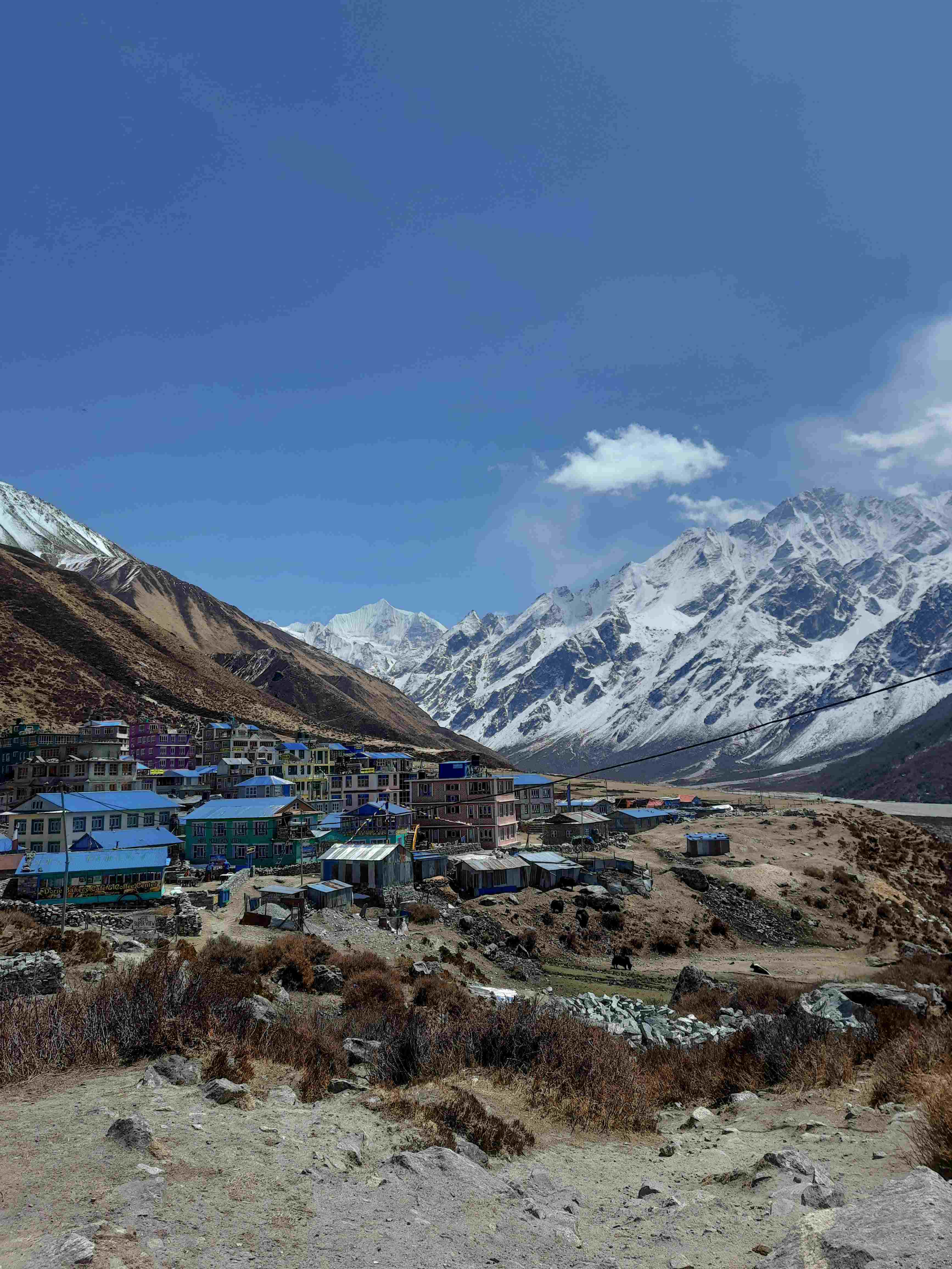 Panoramic view of Langtang village nestled amidst the snow-capped Himalayan peaks.