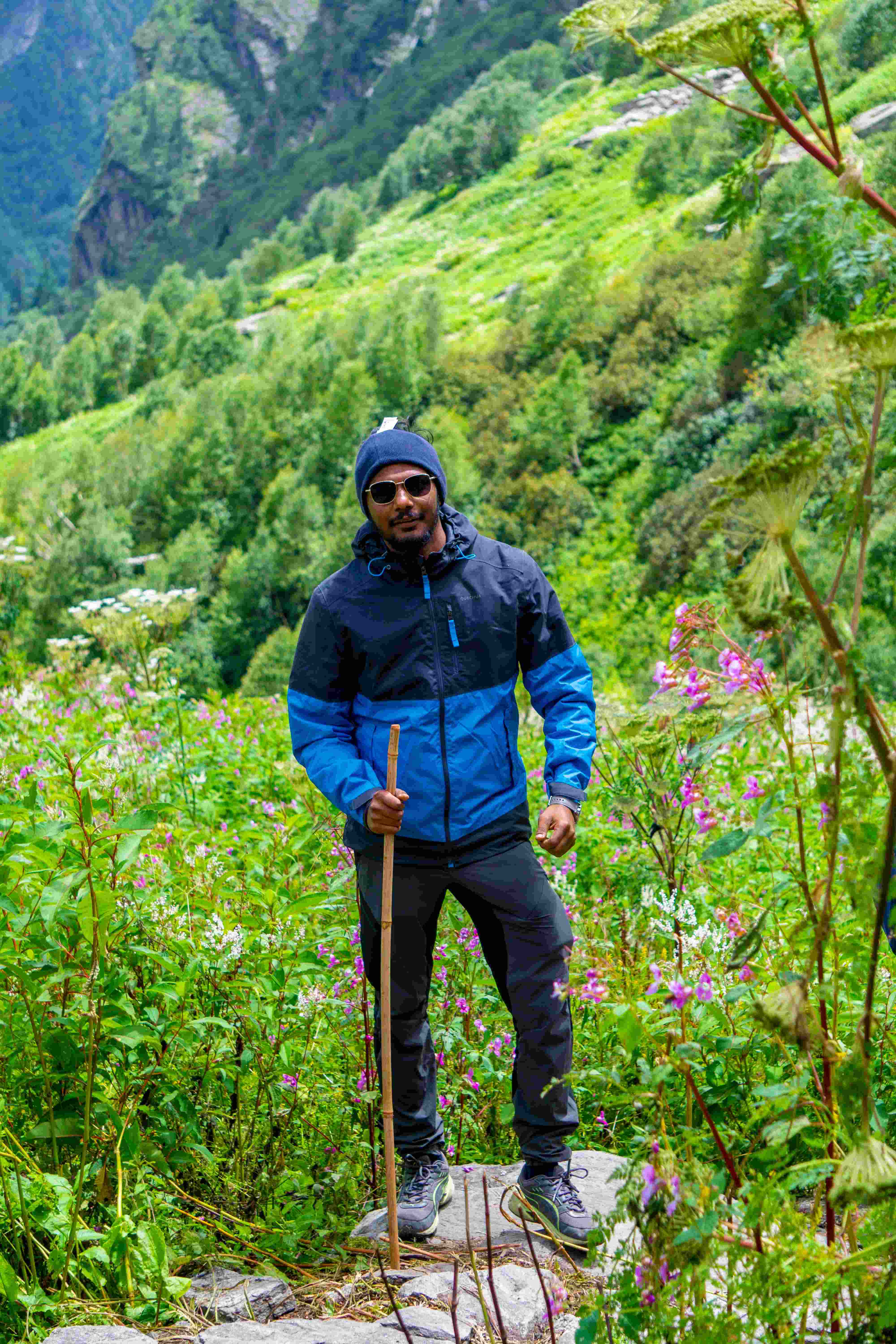 A trekker exploring the lush green Valley of Flowers with a trekking pole