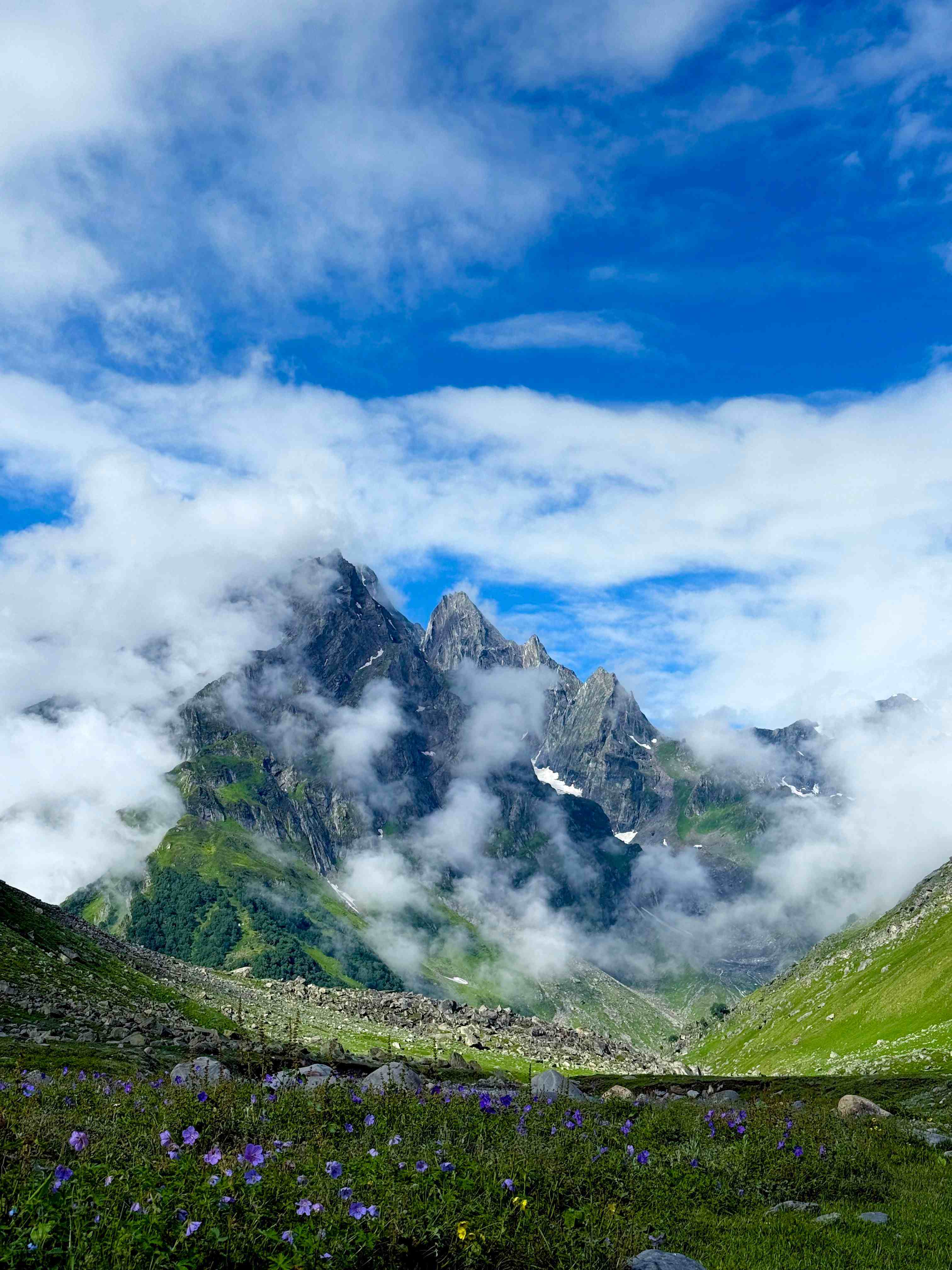 Majestic mountain peaks and alpine meadows in Valley of Flowers National Park