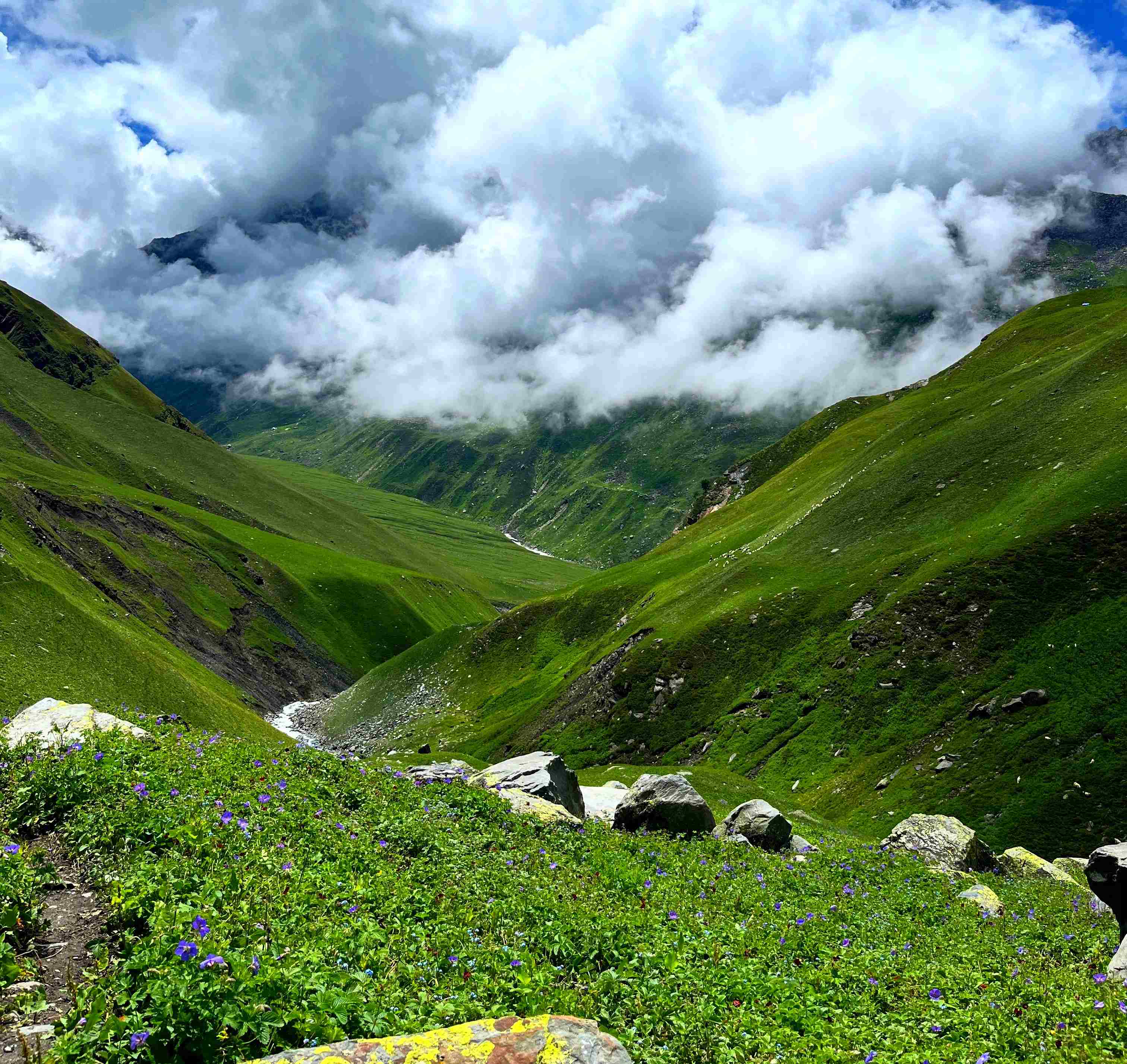 A stunning view of a deep Himalayan valley filled with wildflowers and a winding river.