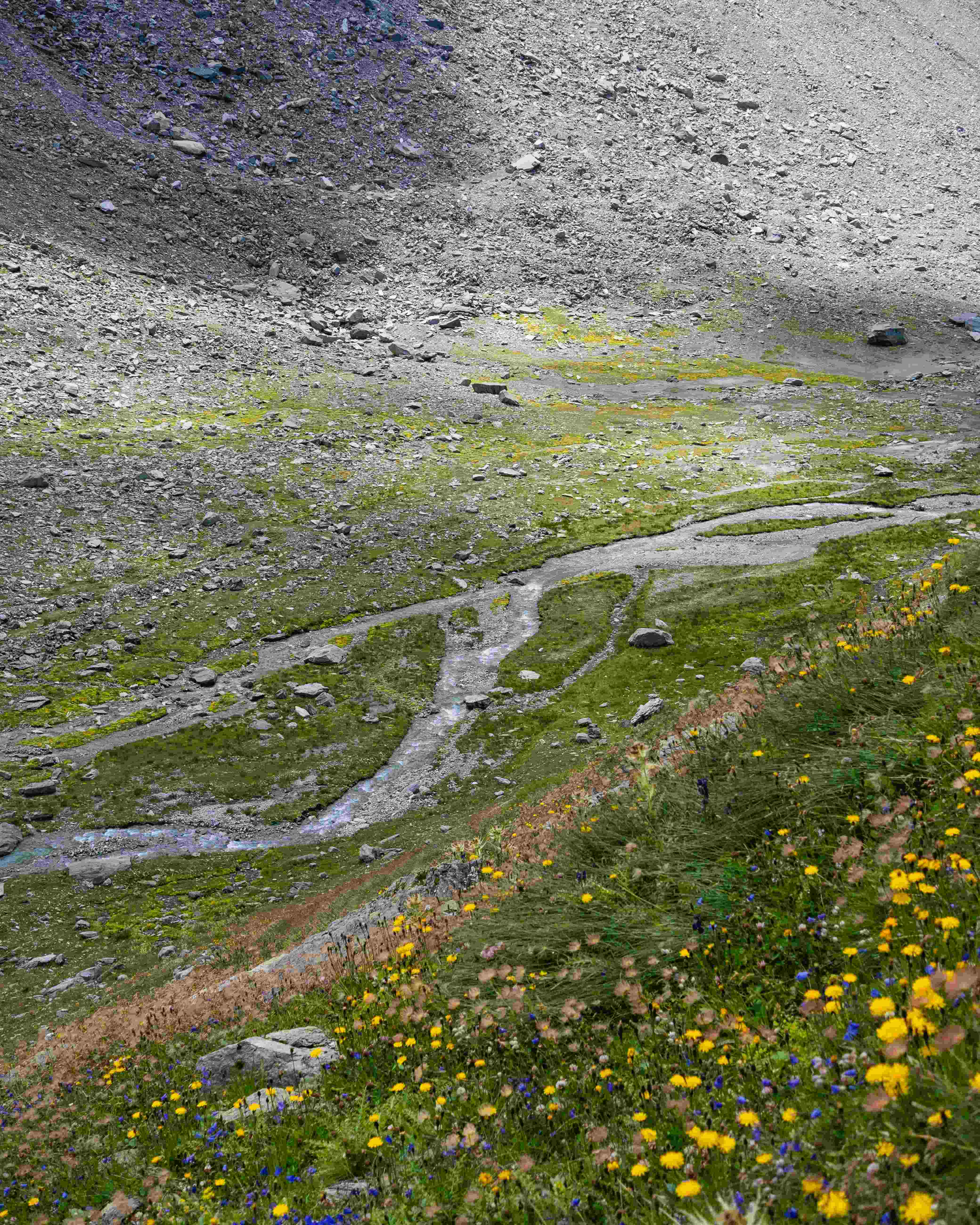 Mountain stream flowing through the rocky terrain of Valley of Flowers